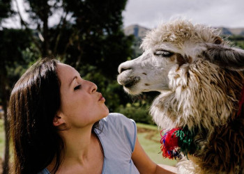 Frau küsst Alpaka
