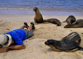 Rendezvous mit Seehunden auf Galápagos