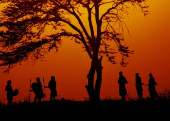 Sonnenuntergang in der Savanne