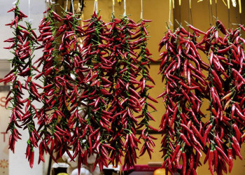 Feurig und dekorativ - Pepperoncini