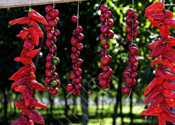 Nicht nur eine Augenweide - getrocknete Pepperoni