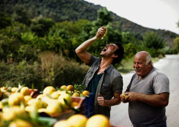 Nach der Orangenernte ist vor der Erfrischung!