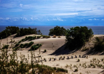 Die Kurische Nehrung in Litauen