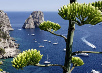 Weiße Boote, blaues Meer und die Faraglioni vor Capri