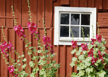 Schwedisches Idyll