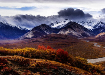 Im Denali-Nationalpark - der Herbst kündigt sich an