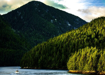Grüner Wald und tiefes Wasser - Landschaftseindrücke von der Inside Passage