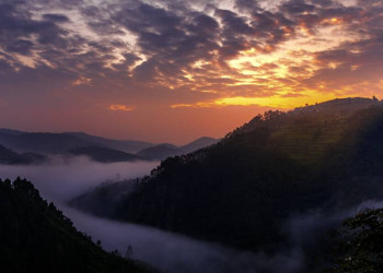 Abendstimmung im Bwindi-Nationalpark
