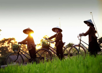 Vietnamesinnen auf den Reisfeldern