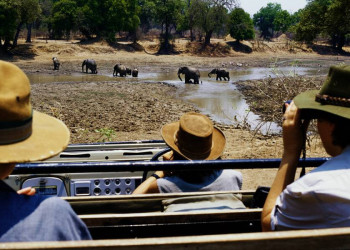 Auf Safari im Krügerpark
