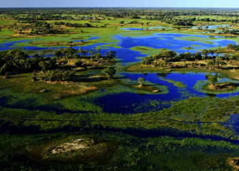Das Okavangodelta aus der Luft