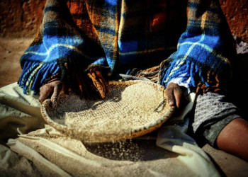 Ein Botsuaner beim Sieben von Getreide