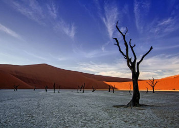 Im Deadvlei in der Namib