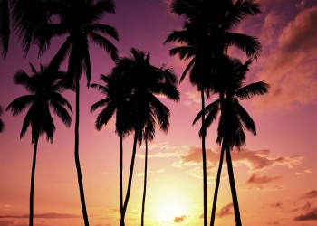 Sonnenuntergang auf Hawaii