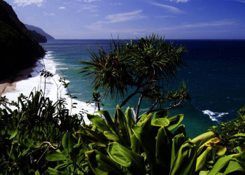 Küstenlandschaft auf Kauai