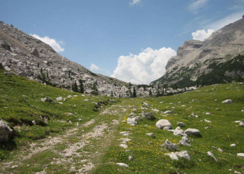 Bergpfad