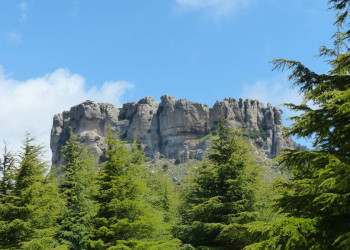 Felsformation und Nadelwald