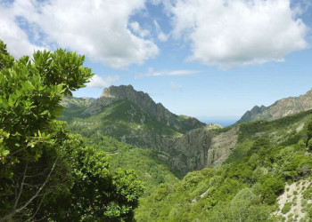 Bergige Landschaft