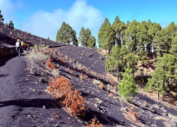 Wanderung am Vulkanhang