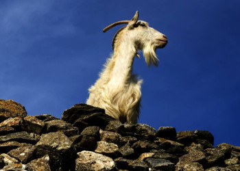 Inselimpressionen auf den Kykladen