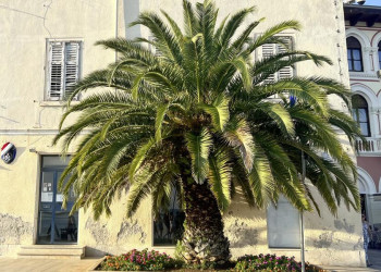 Mediterrane Stimmung an der Adria