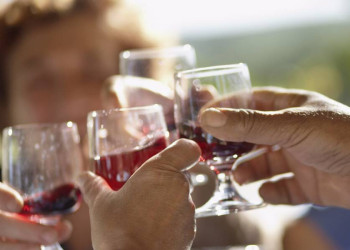 Weinprobe auf einem Landgut in den Marken