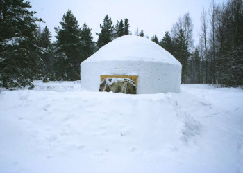 Schneehütte im Winterwald