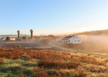 Ländlicher Sonnenaufgang