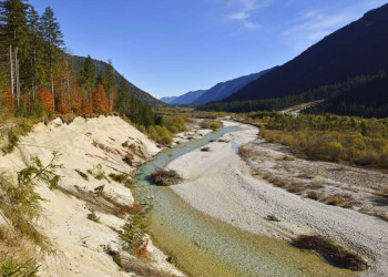 Herbstlicher Flusslauf