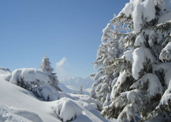 Winterliche Berglandschaft