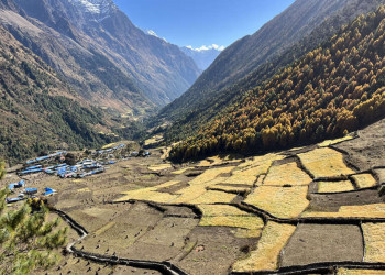 Bergdorf und Terrassenfelder