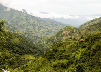 Terrassenfelder in den Hügeln