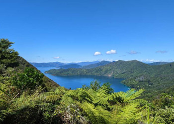 Marlborough Sounds