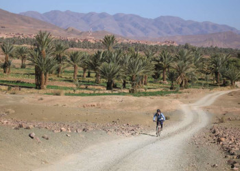 Radtour durch die Oase