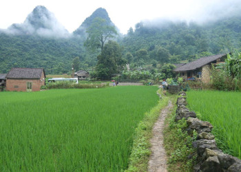 Bergdorf mit Reisterrassen