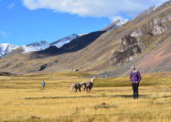 Anden-Trekking mit Alpakas