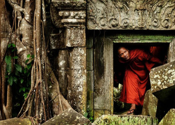 Der Tempel Ta Prohm in Angkor