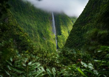Wasserfall inmitten grüner Landschaft
