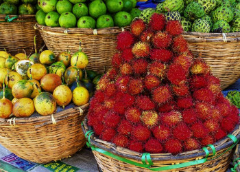 Eine bunte Auswahl an frischen Früchten.