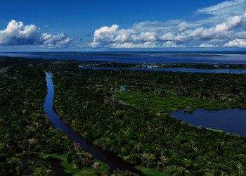 Flussgeschichten am Amazonas