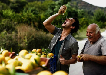 Nach der Orangenernte ist vor der Erfrischung!