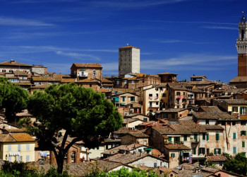 Blick auf Siena