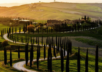 Eine typisch toskanische Landschaft bei Siena