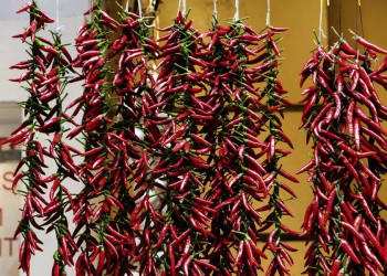 Feurig und dekorativ - Peperoncini