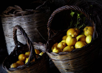 Frische Zitronen aus Sizilien!