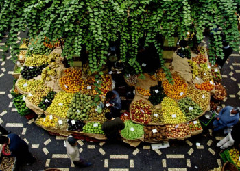Der kunterbunte Gemüsemarkt in Funchal