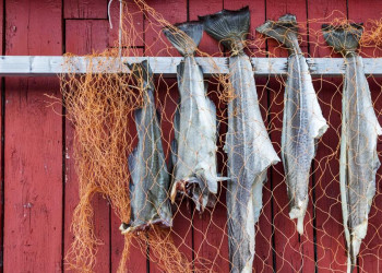 Trockenfisch für den Hausgebrauch!