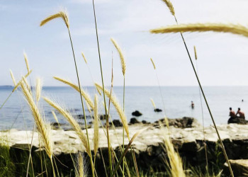 Küstenimpressionen in Kroatien