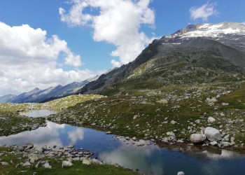 Alpenpanorama mit Bergsee