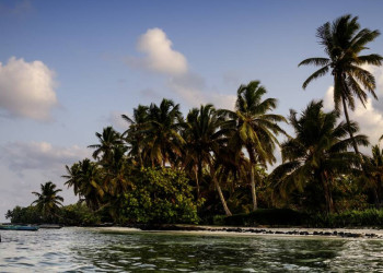 Strand mit Palmen auf Madagaskar